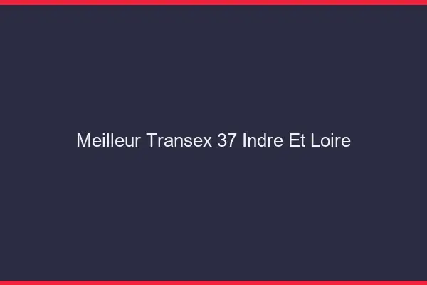 Meilleur Transex 37 Indre Et Loire