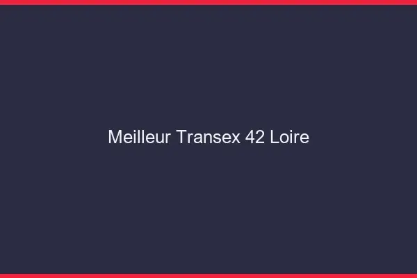 Meilleur Transex 42 Loire