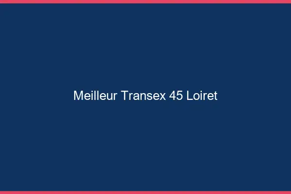 Meilleur Transex 45 Loiret