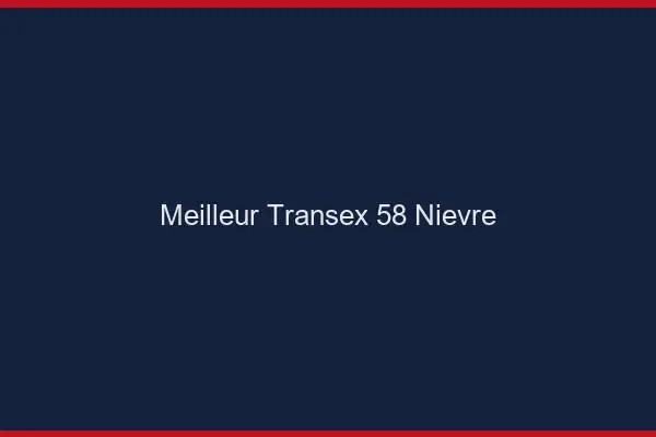 Meilleur Transex 58 Nievre