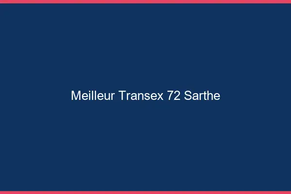 Meilleur Transex 72 Sarthe