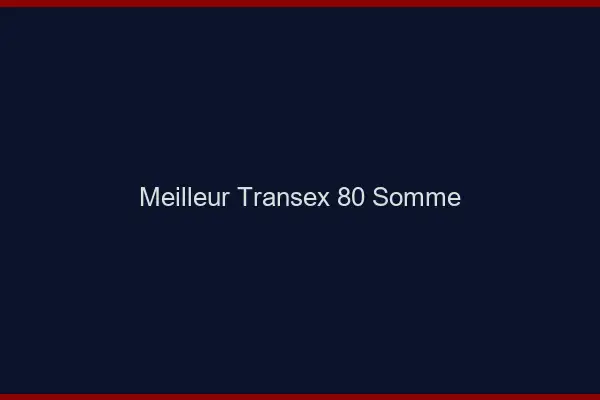 Meilleur Transex 80 Somme