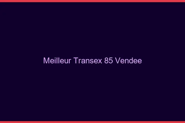 Meilleur Transex 85 Vendee