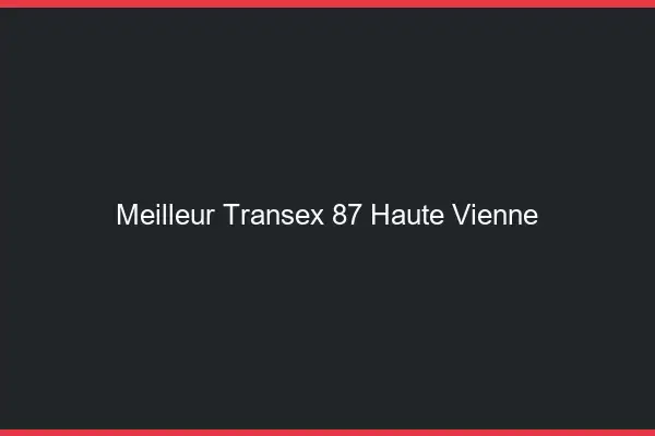 Meilleur Transex 87 Haute Vienne