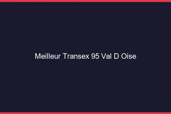 Meilleur Transex 95 Val D Oise