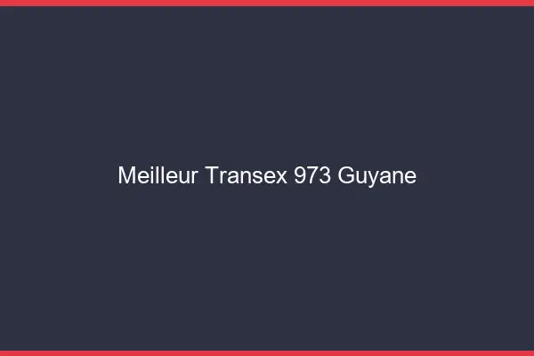 Meilleur Transex 973 Guyane