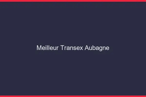 Meilleur Transex Aubagne