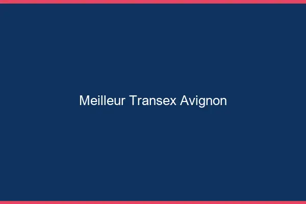 Meilleur Transex Avignon