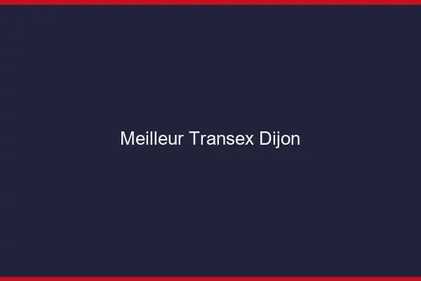 Meilleur Transex Dijon