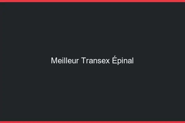Meilleur Transex Épinal