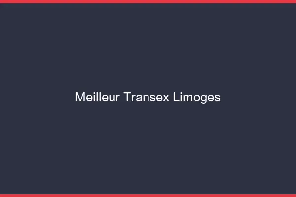 Meilleur Transex Limoges