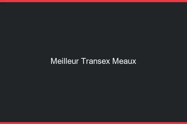 Meilleur Transex Meaux