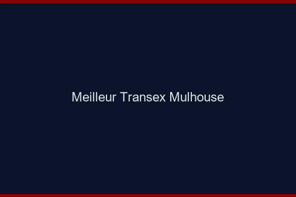 Meilleur Transex Mulhouse