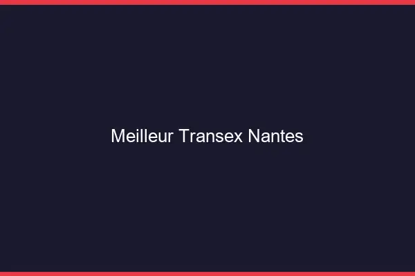 Meilleur Transex Nantes