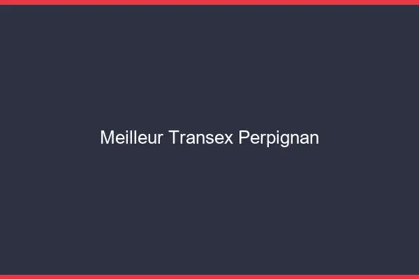 Meilleur Transex Perpignan