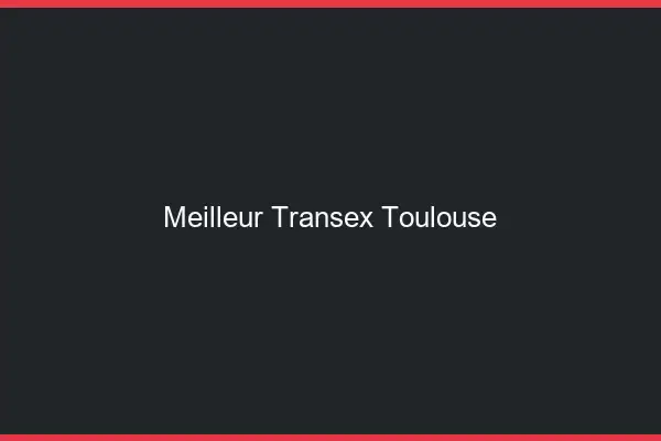 Meilleur Transex Toulouse