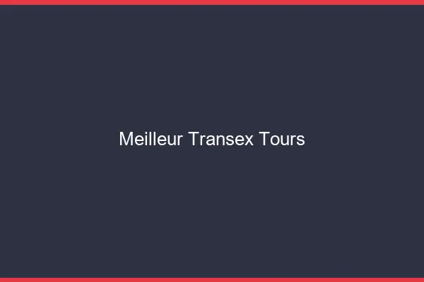 Meilleur Transex Tours
