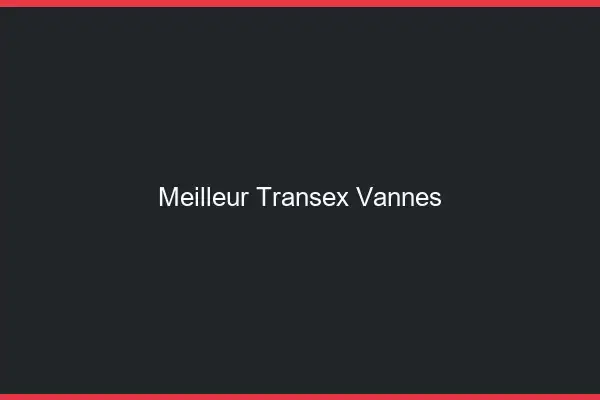 Meilleur Transex Vannes