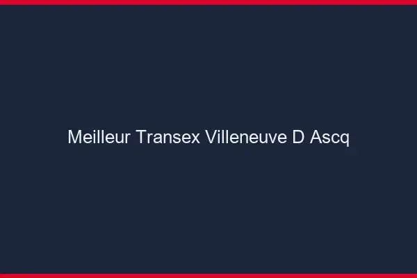 Meilleur Transex Villeneuve-d'Ascq