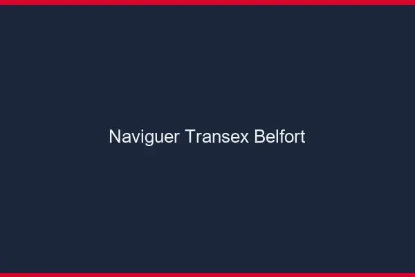 Naviguer Transex Belfort