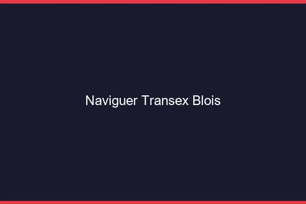 Naviguer Transex Blois