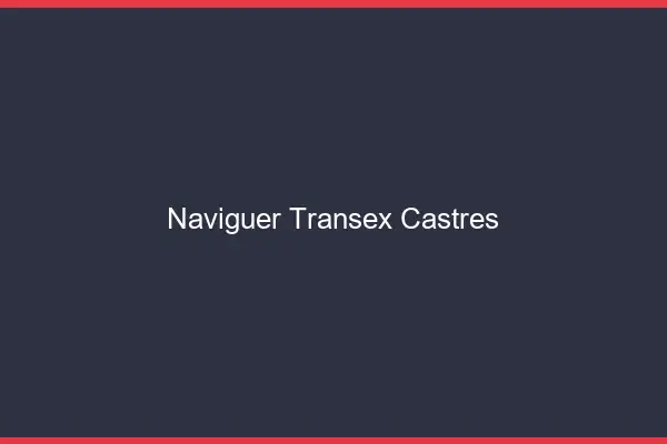 Naviguer Transex Castres