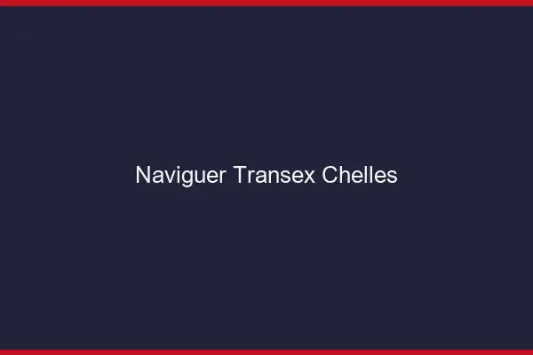Naviguer Transex Chelles