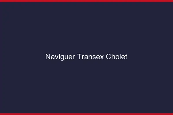 Naviguer Transex Cholet