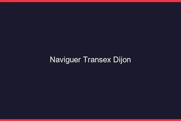Naviguer Transex Dijon