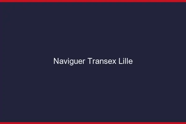 Naviguer Transex Lille