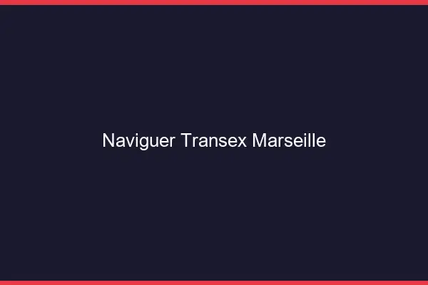 Naviguer Transex Marseille