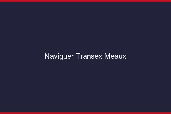 Naviguer Transex Meaux