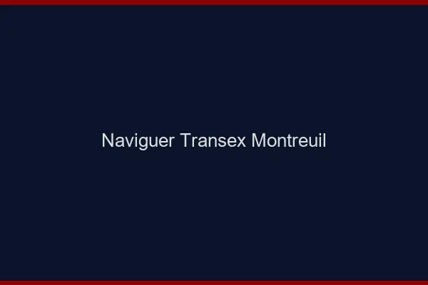 Naviguer Transex Montreuil