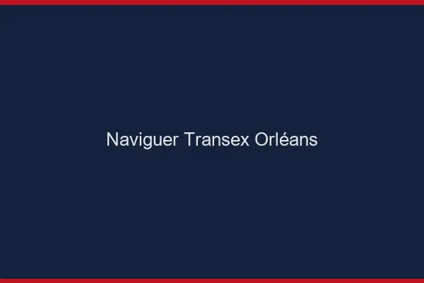 Naviguer Transex Orléans