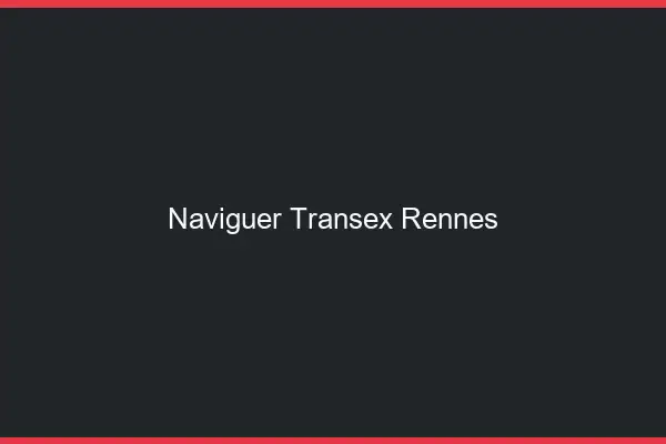 Naviguer Transex Rennes