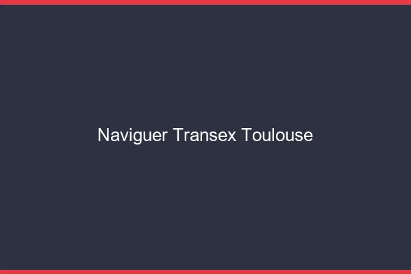 Naviguer Transex Toulouse