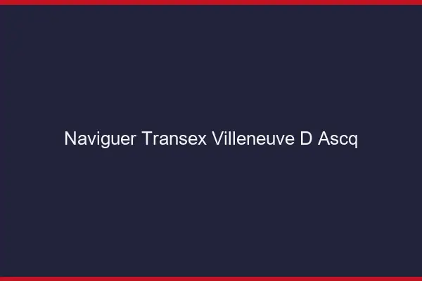 Naviguer Transex Villeneuve-d'Ascq