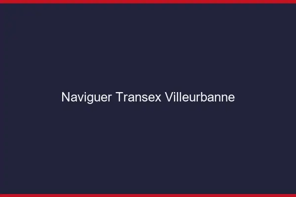 Naviguer Transex Villeurbanne