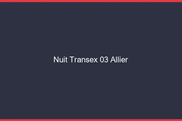 Nuit Transex 03 Allier