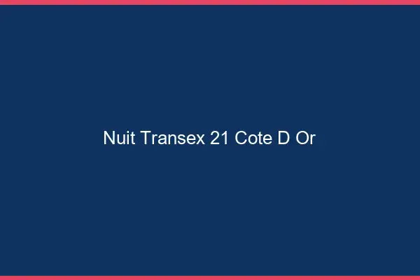 Nuit Transex 21 Cote D Or
