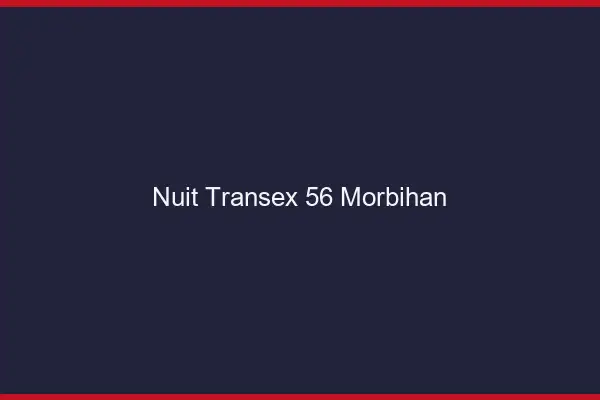 Nuit Transex 56 Morbihan