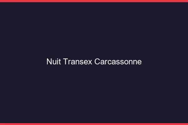 Nuit Transex Carcassonne