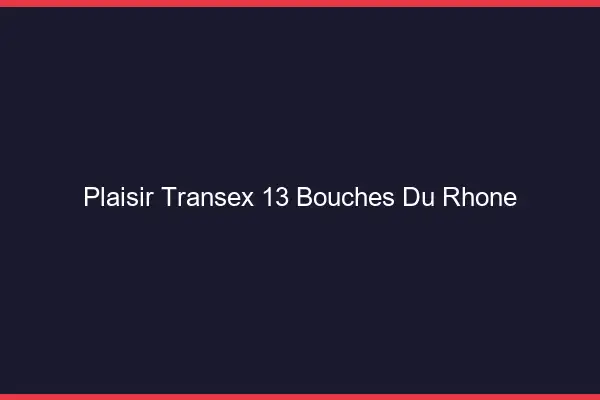 Plaisir Transex 13 Bouches Du Rhone