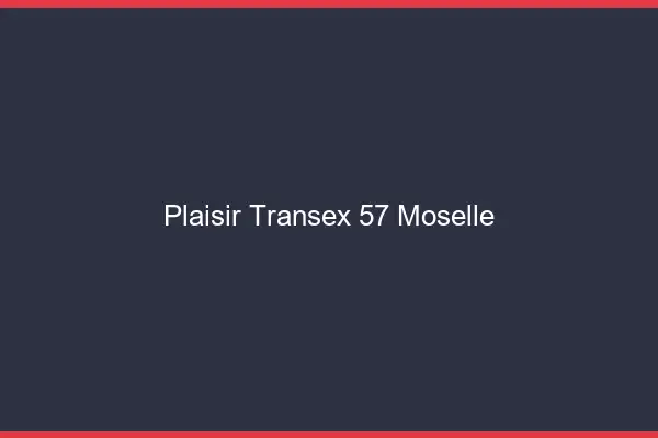 Plaisir Transex 57 Moselle