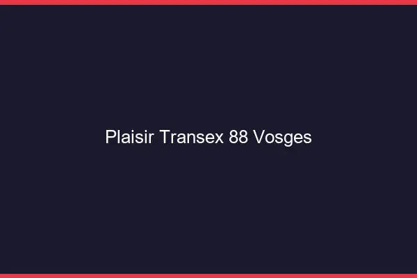 Plaisir Transex 88 Vosges