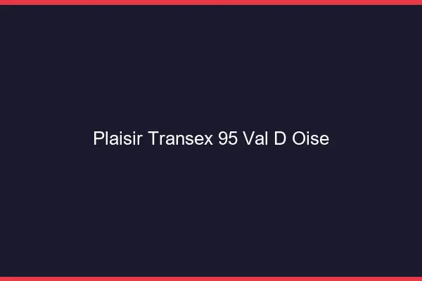 Plaisir Transex 95 Val D Oise