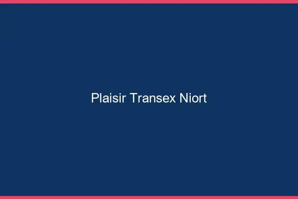 Plaisir Transex Niort