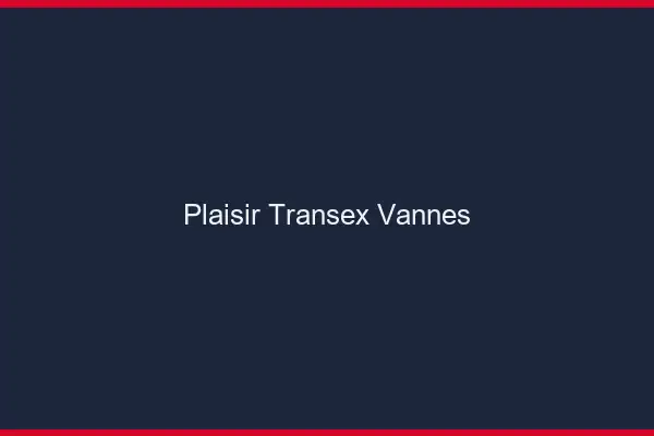 Plaisir Transex Vannes
