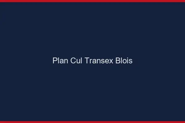 Plan Cul Transex Blois