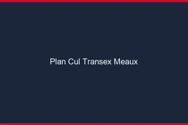 Plan Cul Transex Meaux
